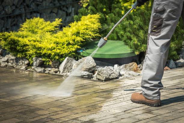 Best Oil Spill Cleanup  in Roanoke Rapids, NC