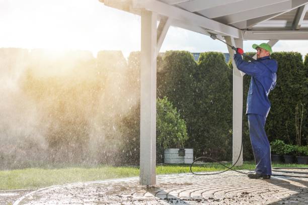 Best Paint Preparation  in Roanoke Rapids, NC